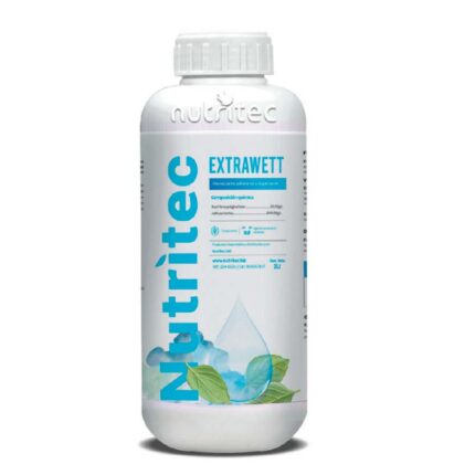 EXTRAWETT