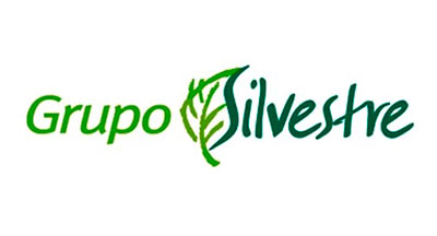 grupo-silvestre