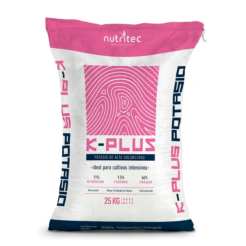 K-PLUS