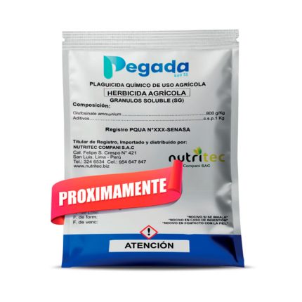 PEGADA