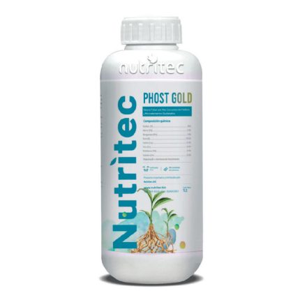 PHOST GOLD